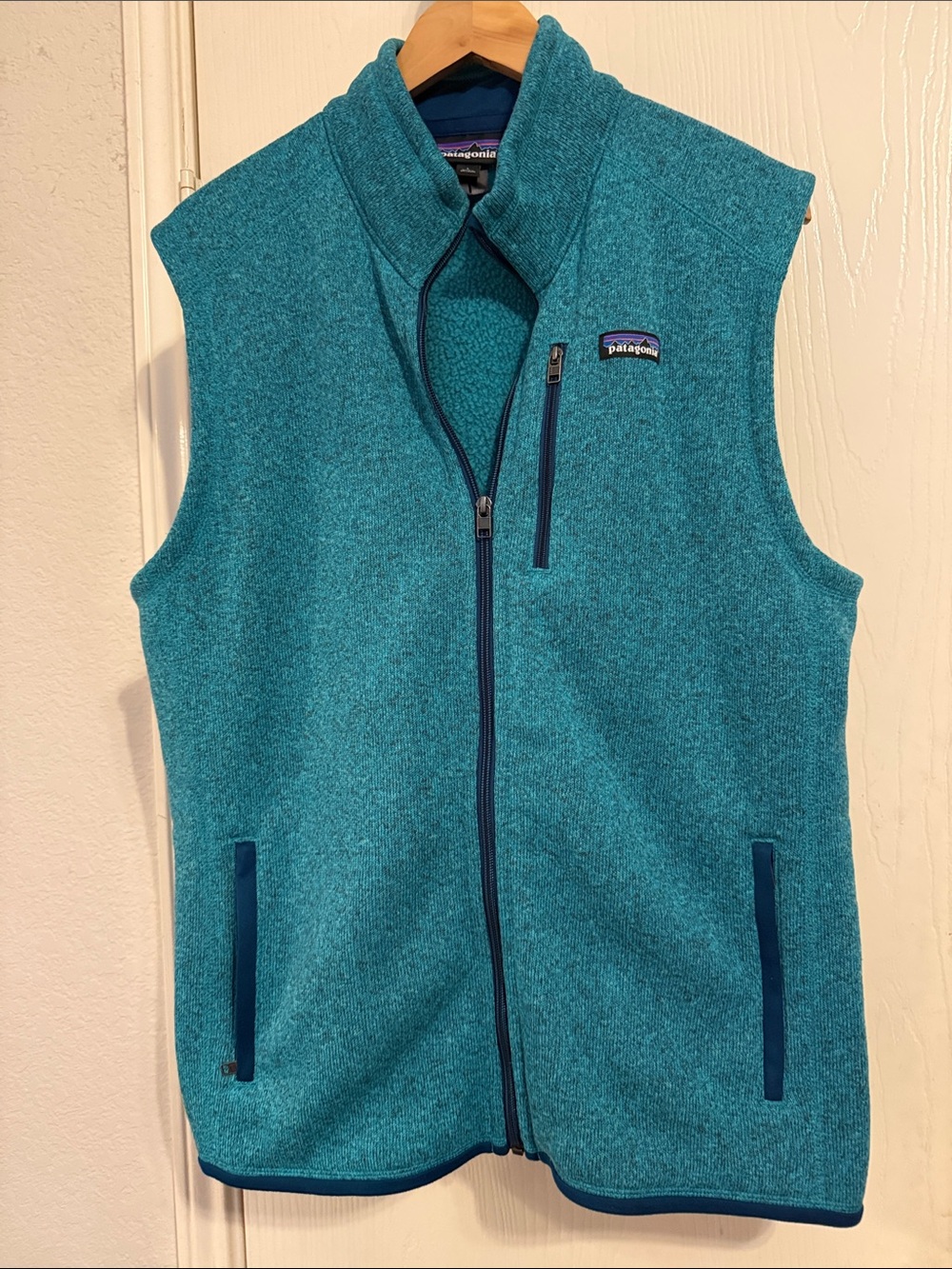 Patagonia Teal Zip Fleece Vest